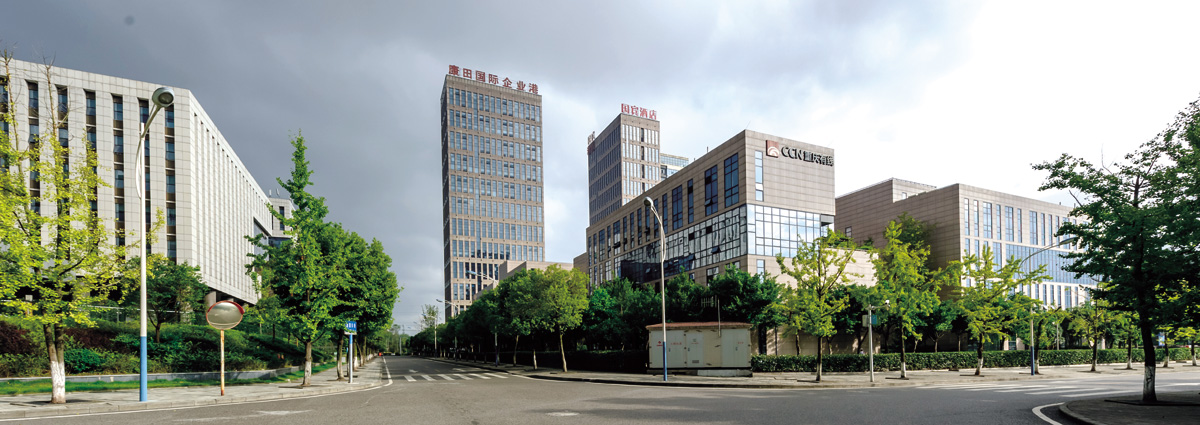 9001cc金沙以诚为本(中国集团)有限公司官网