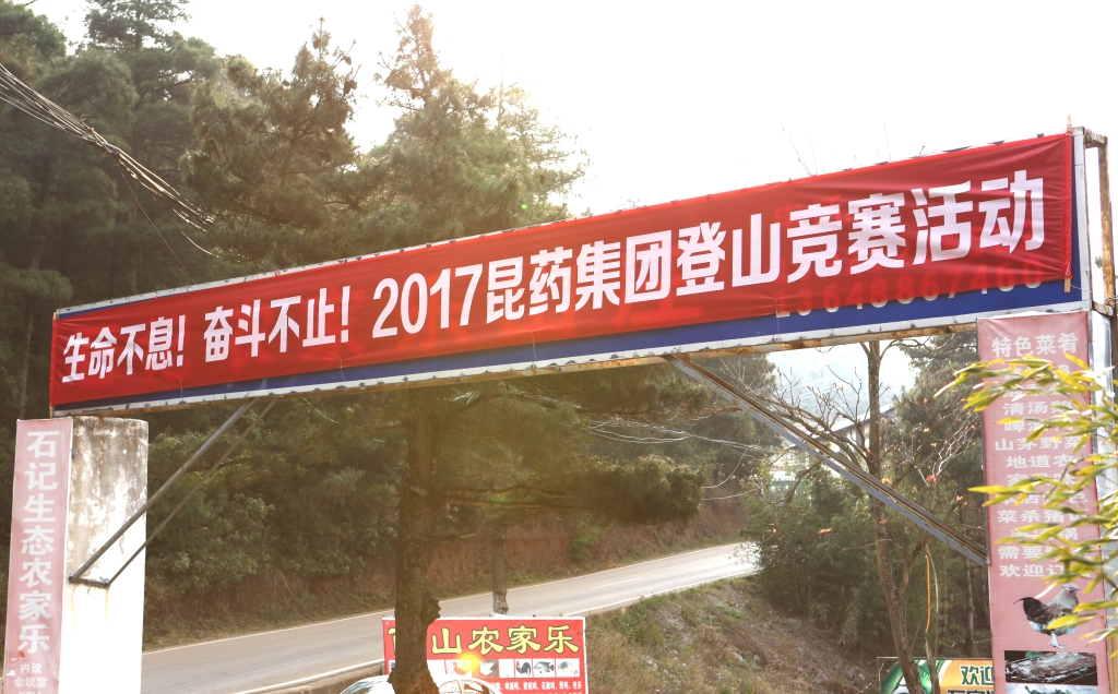 d88尊龙游戏大厅·(中国)官方网站